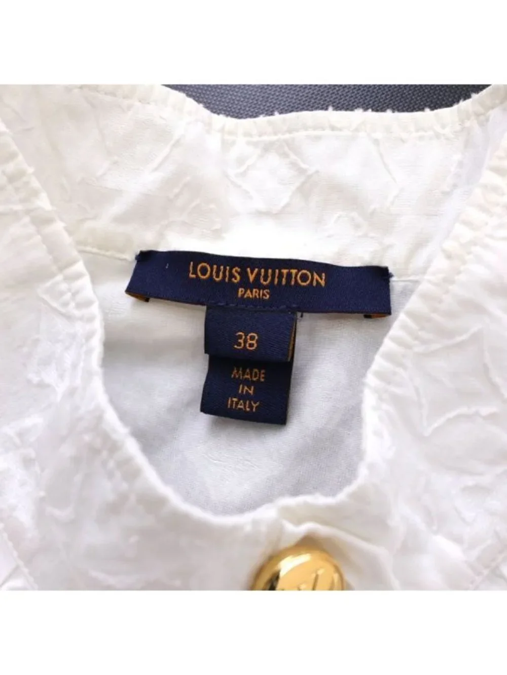 Louis Vuitton brand louis